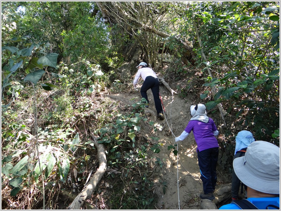 2013-02-23 10-29-52往糖子恩山南峰途中.JPG